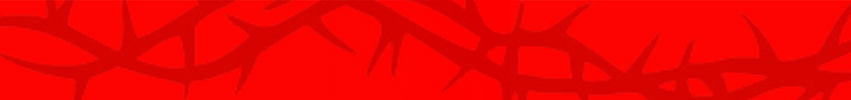 Your Event Ticket Image